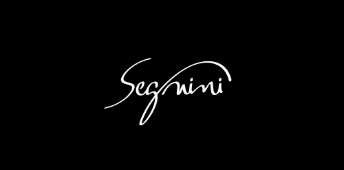 简约优雅的Segnini logo设计