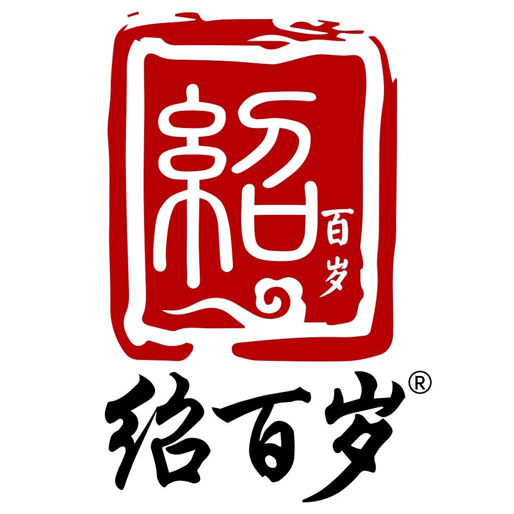 中式风格logo设计：红色印章与书法艺术