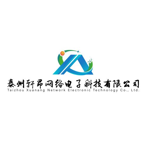 泰州轩昂网络电子科技logo设计