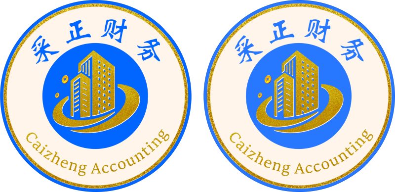 采正财式会计公司logo设计