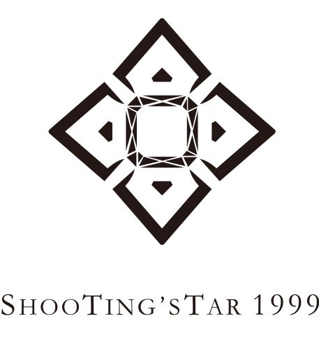 SHOOTING'STAR 1999几何风格logo设计