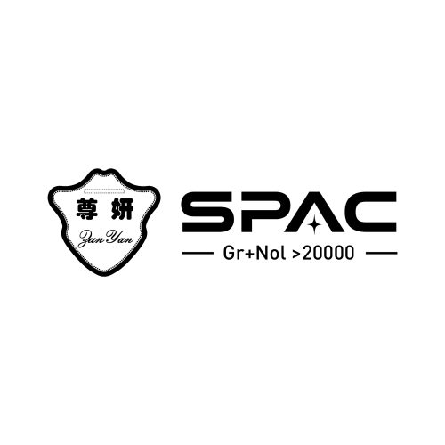 尊妍SPAC高端品牌logo设计