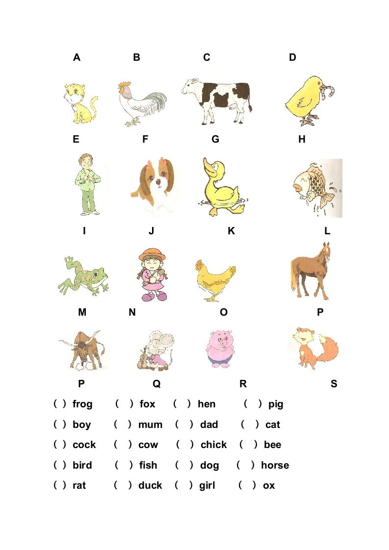 一年级英语上册英语复习试卷（人教一起点）