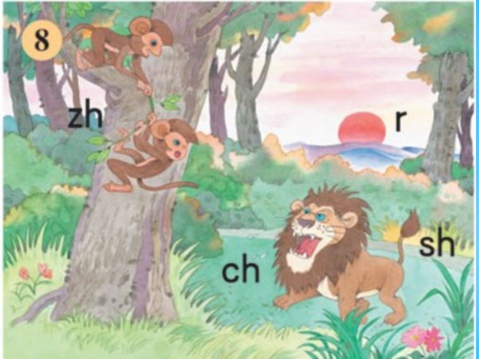 一年级语文上册8.zhchshr课件1（部编版）