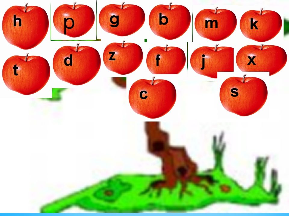 一年级语文上册8.zhchshr课件3（部编版）