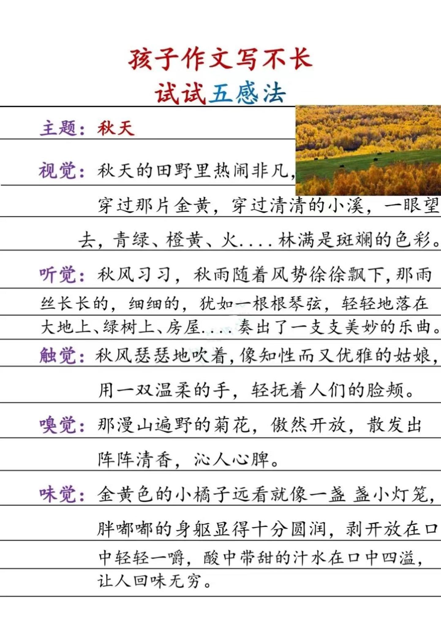 三上语文-扩句法和五感法