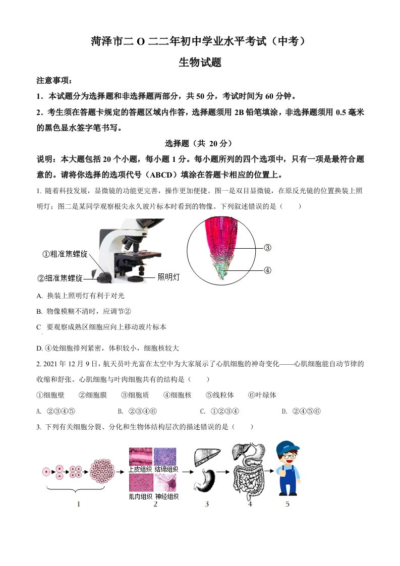 2022年山东省菏泽市中考生物真题（空白卷）