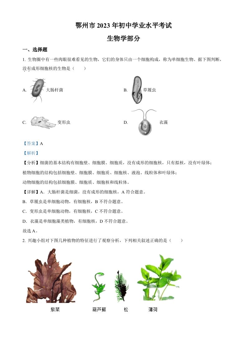 2023年湖北省鄂州市中考生物真题（含答案）