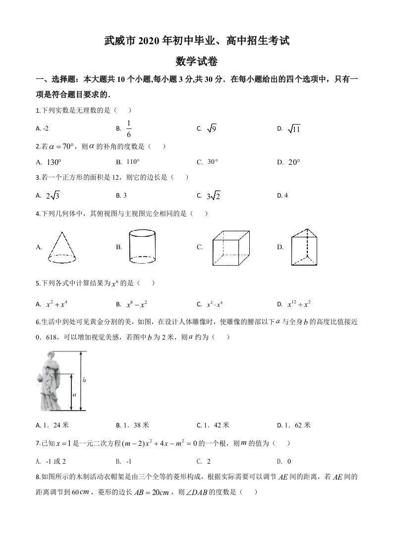 甘肃省武威市2020年中考数学试题（空白卷）