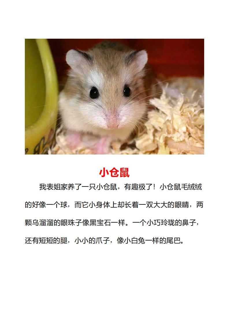 二年级上册语文口语交际一“有趣的动物”指导及范文