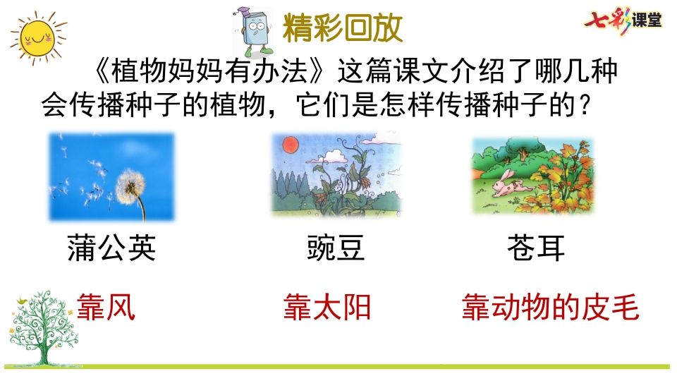二年级语文上册专项5：课文知识点复习课件（部编）