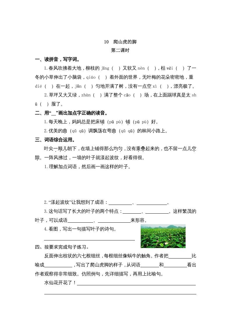 四年级语文上册10爬山虎的脚