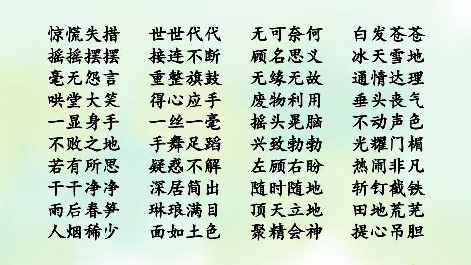 四年级语文上册专项2词语复习课件