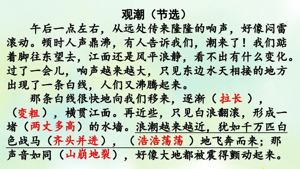 四年级语文上册专项7阅读指导复习课件