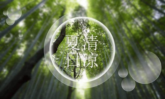 清凉夏日竹子竹林PPT模板