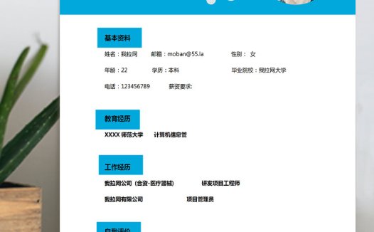 蔚蓝色大气风计算机编程师应届生简历