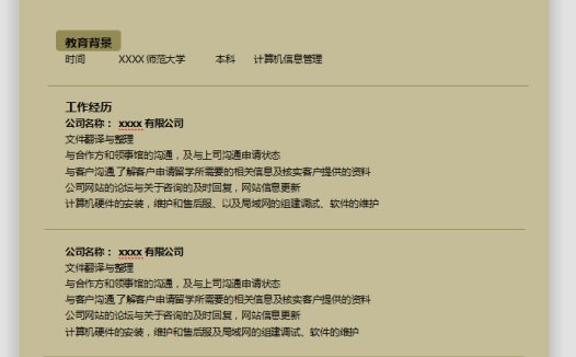 土黄色简洁风计算机信息管理应届生简历