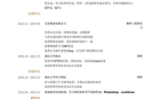 运维工程师岗位个人简历模板