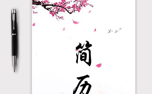 粉色系复古风渠道经理主管简历模板