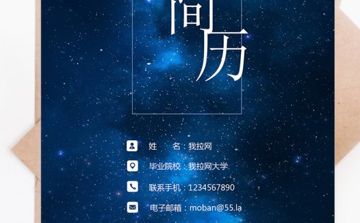 蓝色星空商务成套销售主管个人简历模板