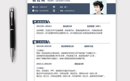 灰色简洁大气业务员个人简历模板