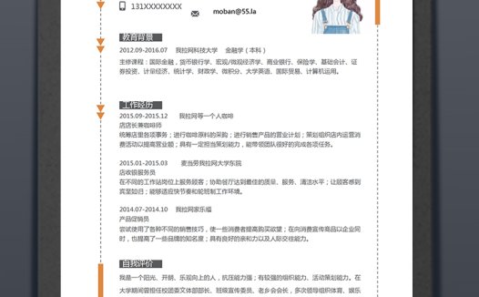 橘色简约大方风格商务总监简历模板
