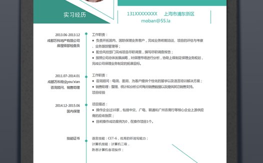 绿色简约几何风商务总监简历模板