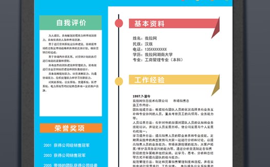 唯美彩色风格市场销售总监简历模板