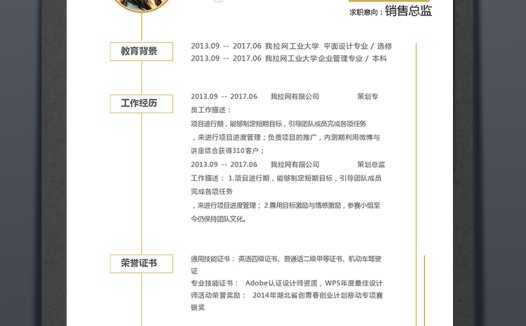 金黄简约大气风格销售总监简历模板