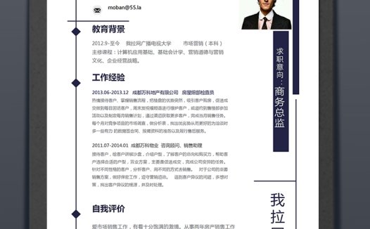 简洁美观风格商务总监个人简历模板