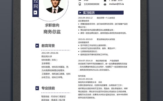 创意大气风格商务总监个人简历模板