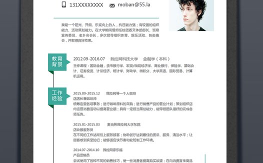绿条简约风格商务总监个人简历模板