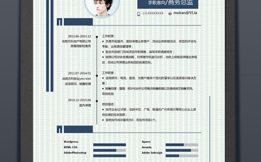 浅绿条纹风格商务总监个人求职简历模板