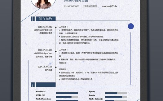 浅紫精美风格商务总监个人求职简历模板