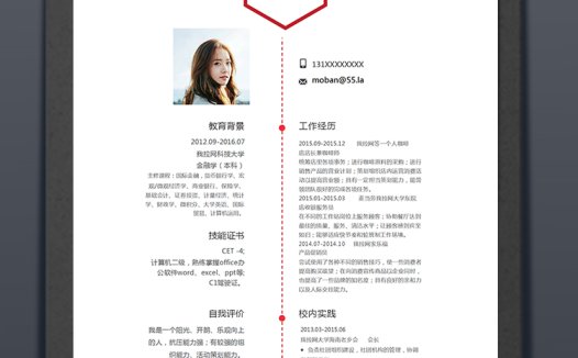 红色简约大气风格商务总监简历模板