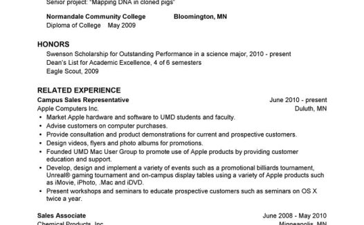 科技产品销售/技术支持英文简历模板