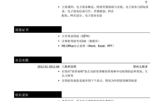 网络销售代表个人简历模板