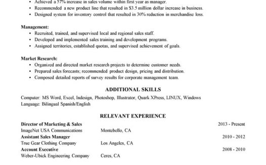 销售管理英文简历模板