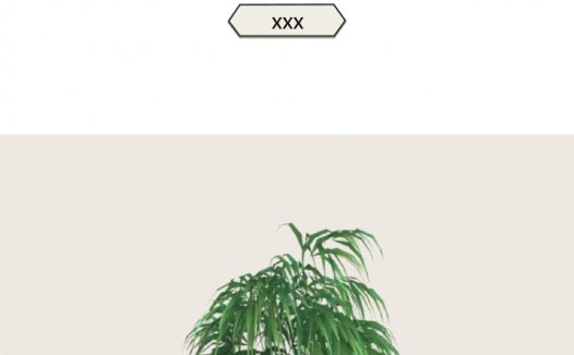 白色系竹子风格设计师个人简历模板