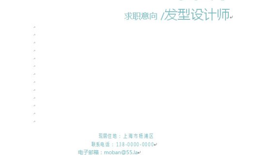 浅色系清新精美发型设计师个人简历模板