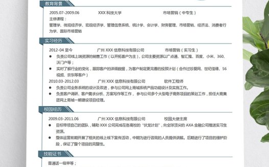 蔚蓝色极简风中专生个人简历模板