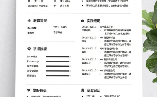 灰色简约风格中专生个人简历模板