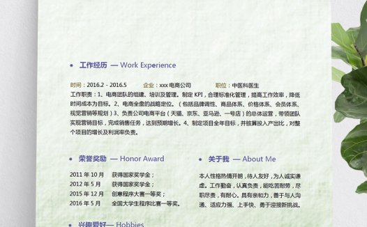 浅绿色小清新中医科医学生简历