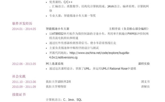 软件实习岗位个人简历模板