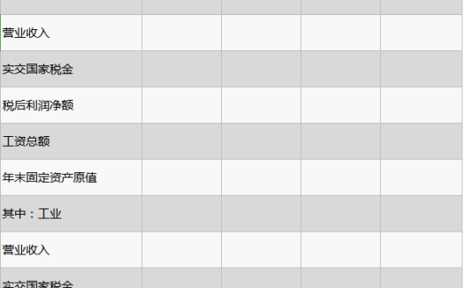 乡镇企业财务情况excel模板