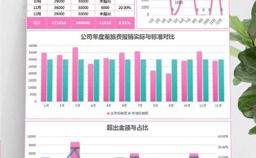 玫红风公司年度差旅费报销财务分析报告表