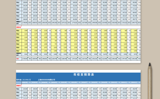 年收支预算表