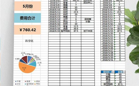 浅色系简约风财务记账表