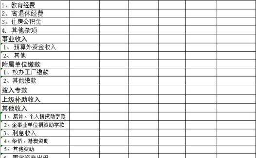 财政、财务收支审计情况审核表