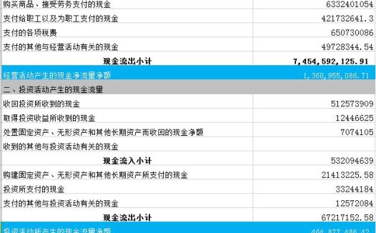 现金流量表模板比率分析